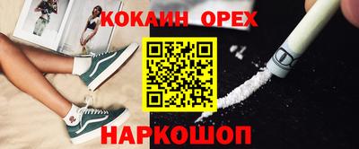 ПСИЛОЦИБИНОВЫЕ ГРИБЫ Кинель