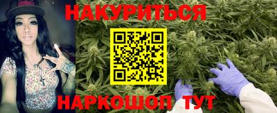 дурь Кингисепп