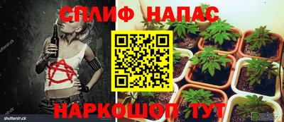 ПСИЛОЦИБИНОВЫЕ ГРИБЫ Кинель